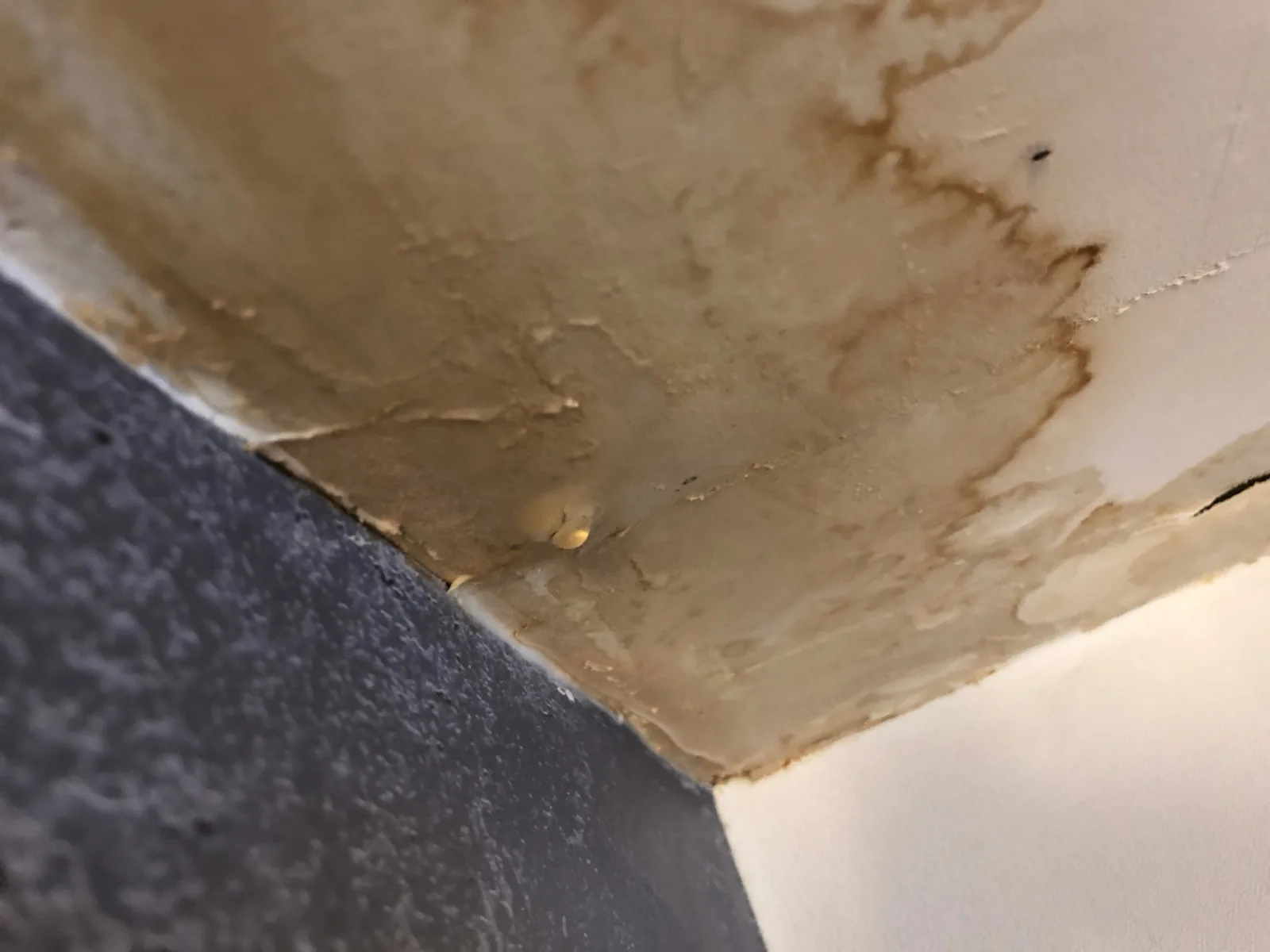Zimmerdecke mit großem braunem Wasserfleck, an dessen Rand sich die Farbe löst
